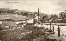 REAL PHOTO POSTCARD OF ROSE