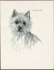 CAIRN TERRIER VINTAGE 1937 DOG