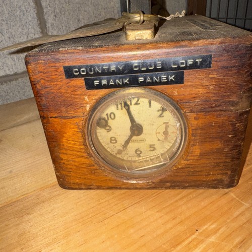 Benzing racing pigeon clock - racing,