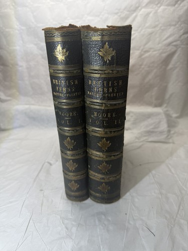 Thomas moore british ferns - thomas,