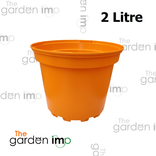 Coloured plastic plant - x,