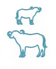 Buffalo / Cape Buffalo -