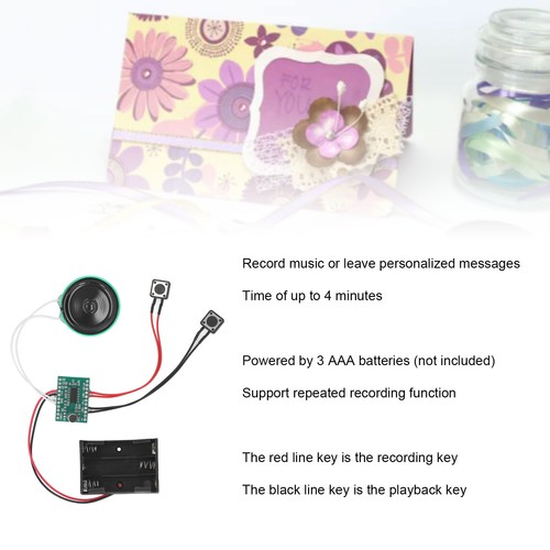 Recordable sound module - recordable,