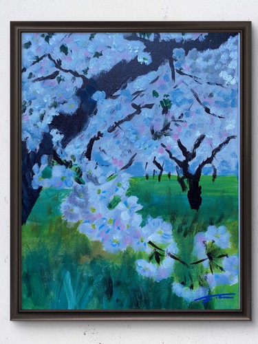 Cherry trees blossoms orchard - trees,