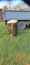 large cherry log ideal for carving
