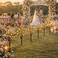 Wedding and Party Pathway