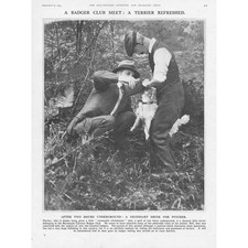 BARNSTAPLE Clarence Badger Club Terrier 'Pincher' - Vintage Print 1923