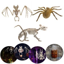 Halloween Animals Skeleton