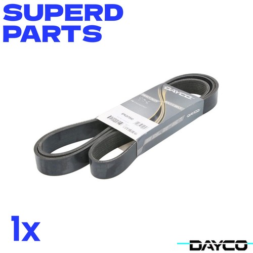 Dayco day8pk2070hd ribbed - dayco,