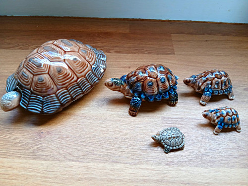 Wade tortoises set 5 - set,