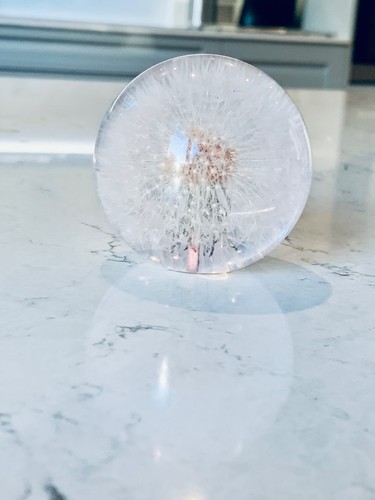 Hafod grange real - real, dandelion