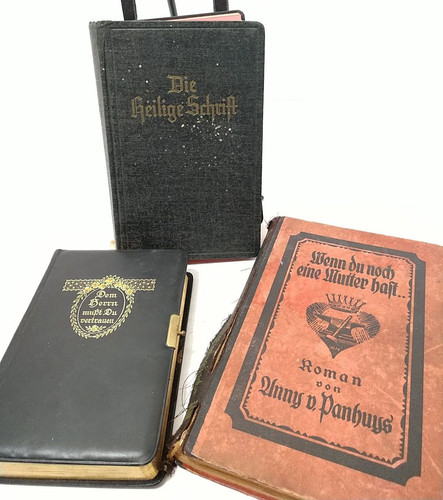 Vtg german bible - german, more