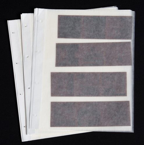 Parchment negative sleeves - 50,