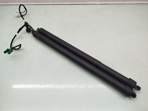 9809682180 tailgate gas strut - tailgate,