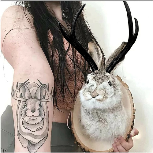 Rabbit head wall mount - head,