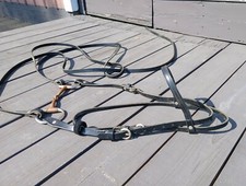 Next to New Leather Horse