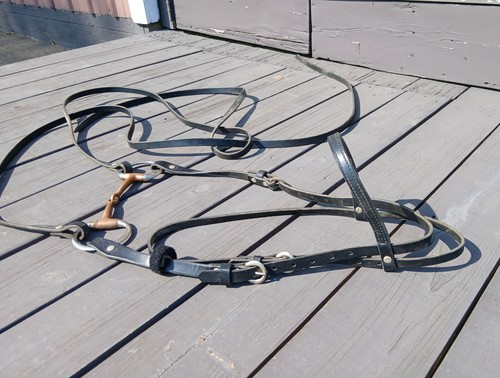 Next new leather horse - new,