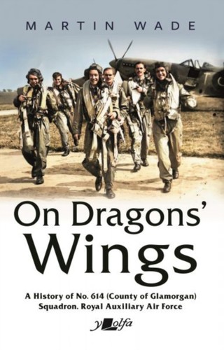 Dragons wings by martin - dragons',