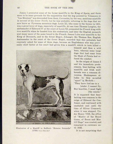 Original old antique print - old,