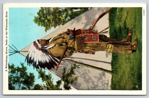 1910 dells postcard - dells,,