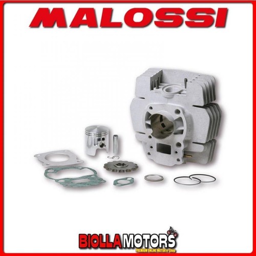 314894 cylinder malossi 65cc - cylinder,