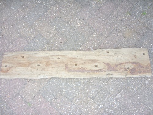 Large driftwood - large,