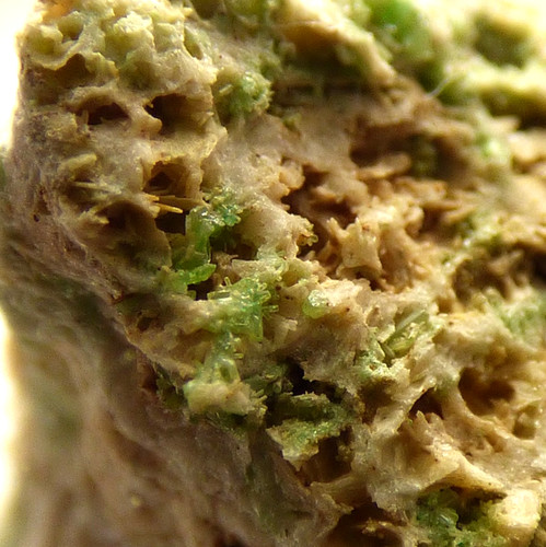 Green pyromorphite crystals - pyromorphite,