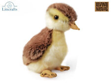 Mallard Duckling Plush Soft Toy Bird Teddy by Living Nature Wild Life Gift. 19cm