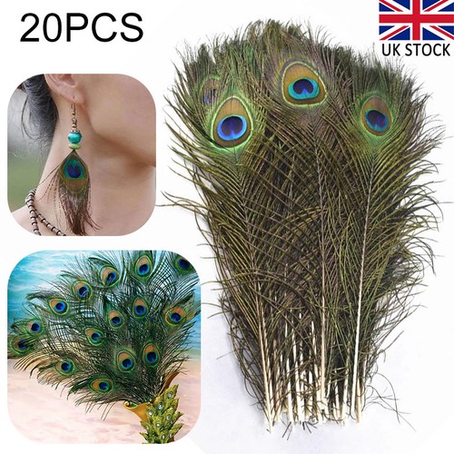 20pcs natural peacock - natural, feathers