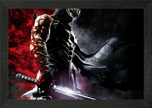 Ninja gaiden framed - ninja, art