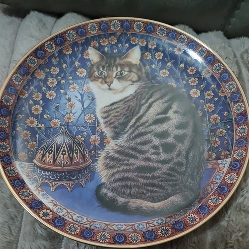 Lesley anne ivory - anne, cats