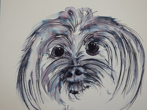 Original pen ink wash - &,