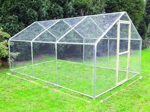 Walk chicken run steel - walk, in