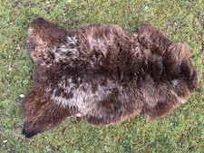 Nice New Real Rare Breed