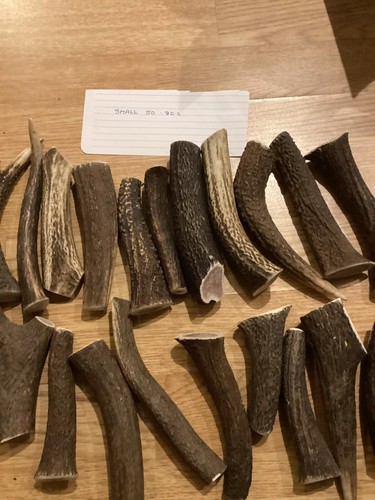 Antler dog chews - antler,