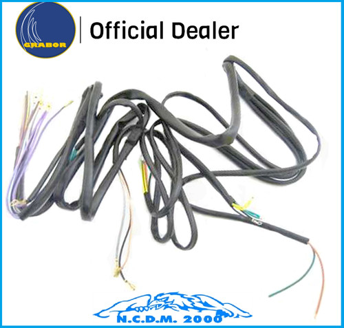 Electrical system for vespa - system, gl