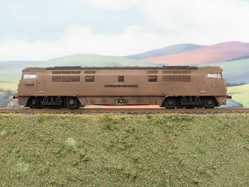 Gauge limited edition dapol - n,