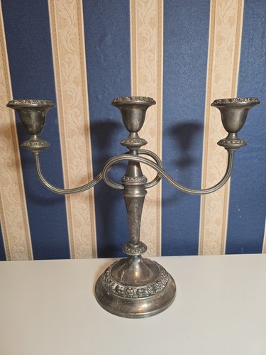 Vintage silver plated ianthe - silver,