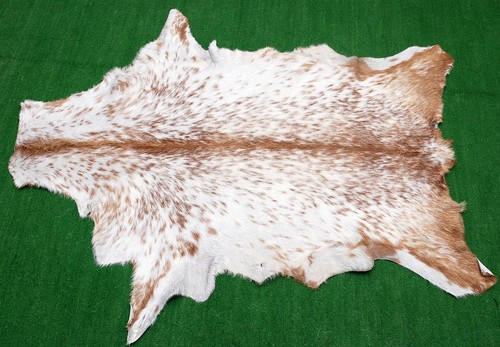 Luxury goat hide - hair, on