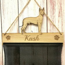 Xoloitzcuintli Mexican