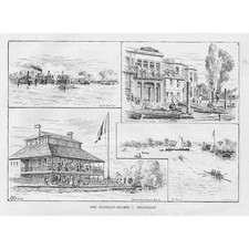 ROWING The Thames v Hillsdales Boat Race - Antique Print 1882