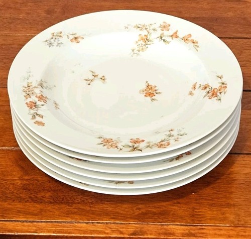 Antique theodore haviland - theodore,