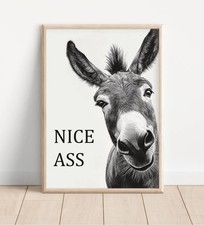 Funny Donkey Wall Art Print