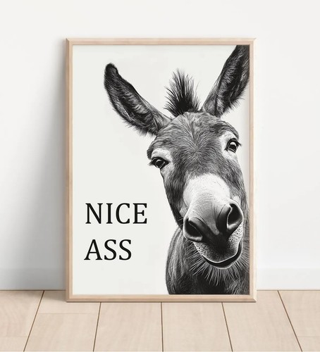 Funny donkey wall art print - funny,