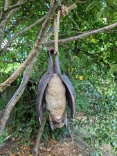 Bat Tree Hanging Garden