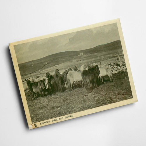 Print vintage scotland - print,