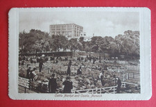 Old Norfolk Postcard THE