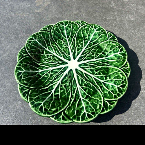 Green white cabbage leaf - white,