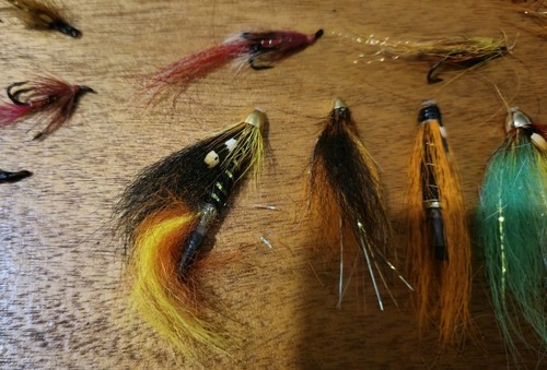 Job lot salmon and trout - lot,