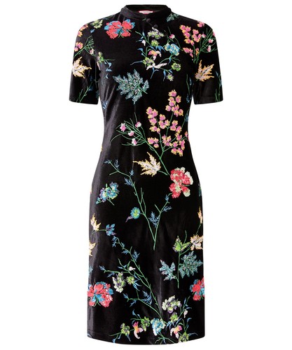 Joe browns black - browns, velvet
